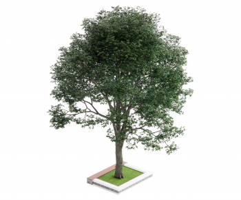 Modern Tree-ID:476536045