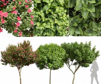 Modern Tree-ID:564704908