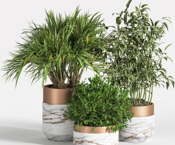 Modern Ground Green Plant Potted Plants-ID:115746024