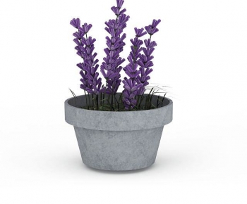 Modern Potted Green Plant-ID:504880039
