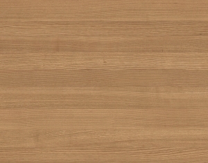 ModernWood Texture