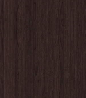 ModernWood Texture