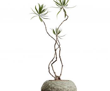 Modern Potted Green Plant-ID:725090982