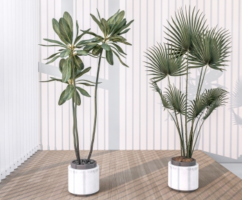 Modern Ground Green Plant Potted Plants-ID:892108929