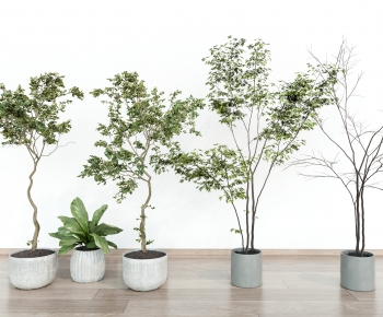 Modern Ground Green Plant Potted Plants-ID:858056072