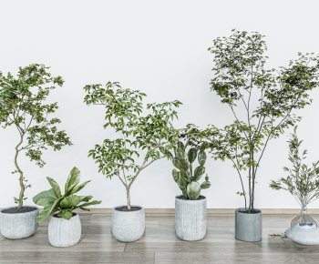 Modern Ground Green Plant Potted Plants-ID:329406981