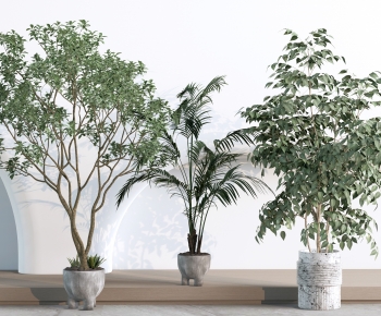 Modern Ground Green Plant Potted Plants-ID:286150075