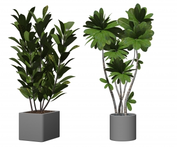 Modern Ground Green Plant Potted Plants-ID:853559976