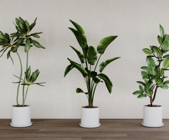 Modern Ground Green Plant Potted Plants-ID:806890968