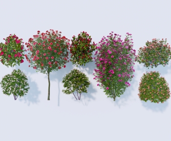 Modern Flowers And Grass-ID:244358064