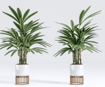 Modern Ground Green Plant Potted Plants-ID:913914925