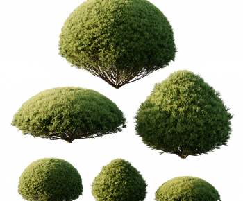 Modern Shrubbery-ID:770533089