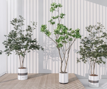 Modern Ground Green Plant Potted Plants-ID:606660827