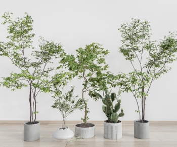 Modern Ground Green Plant Potted Plants-ID:887697941