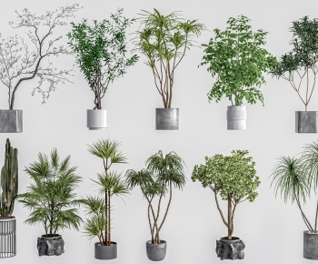 Modern Ground Green Plant Potted Plants-ID:862129935