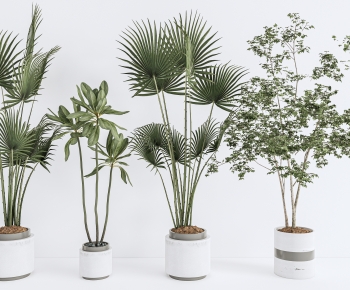 Modern Ground Green Plant Potted Plants-ID:859679947