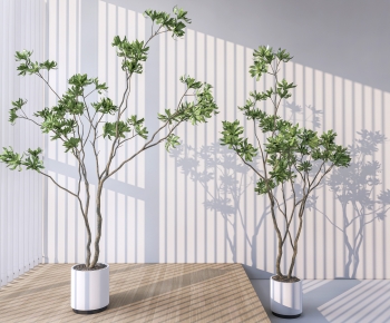 Modern Ground Green Plant Potted Plants-ID:267149939