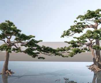 Modern Tree-ID:792658096