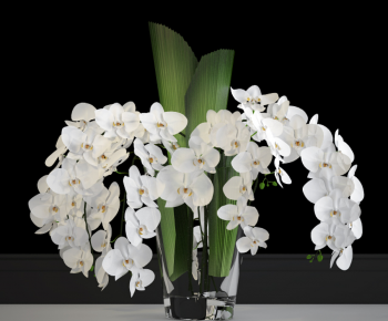 Modern Flower Arrangement-ID:624201065