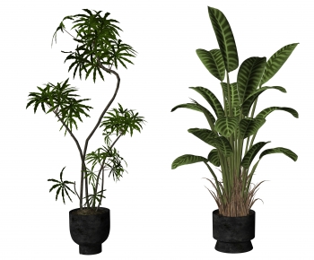 Modern Ground Green Plant Potted Plants-ID:698558097