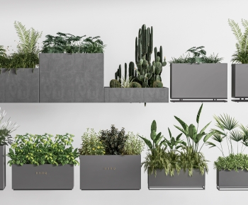 Modern Flower Bed, Flower Bowl, Flower Box-ID:278115994