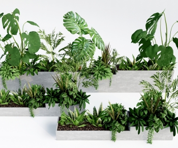 Modern Flower Bed, Flower Bowl, Flower Box-ID:611845971