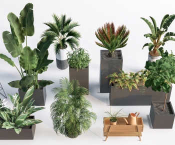 Modern Flower Bed, Flower Bowl, Flower Box-ID:203599935
