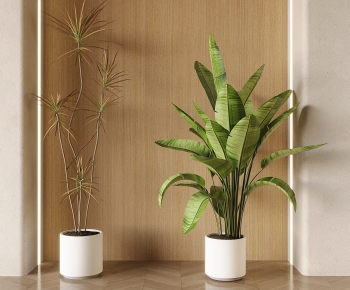 Modern Ground Green Plant Potted Plants-ID:265597112