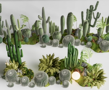 Modern Plant Pile-ID:899580965