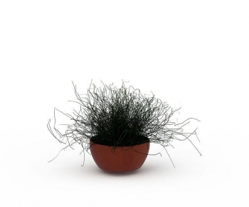 Modern Potted Green Plant-ID:403850132