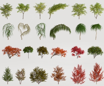 Modern Tree-ID:431816105