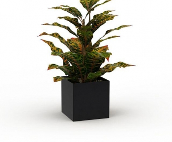 Modern Potted Green Plant-ID:504173042