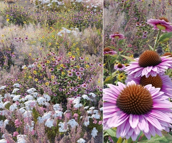 Modern Flowers And Grass-ID:295769935