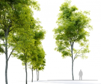 Modern Tree-ID:823821074