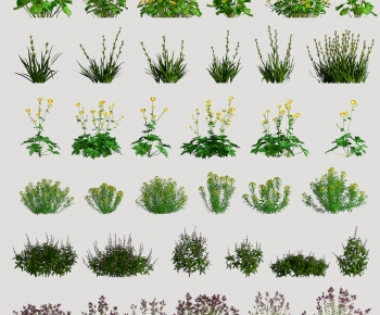 Modern Flowers And Grass-ID:622652052