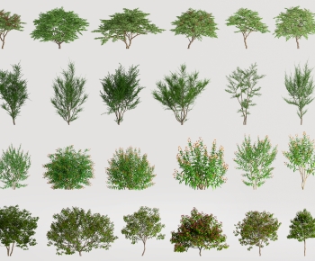 Modern Tree-ID:660372977