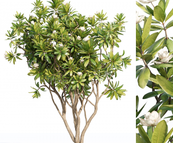 Modern Tree-ID:674237012