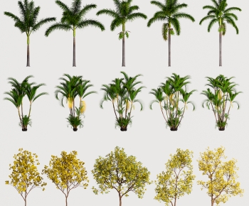 Modern Tree-ID:589488984