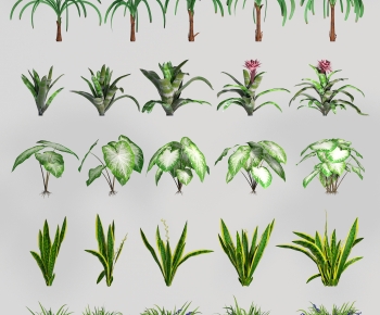 Modern Flowers And Grass-ID:116921902