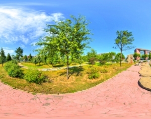 ModernThe Environment