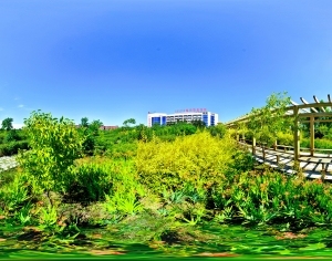 ModernThe Environment