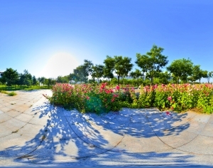 ModernThe Environment