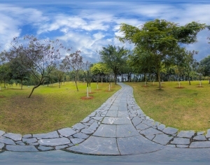 ModernThe Environment