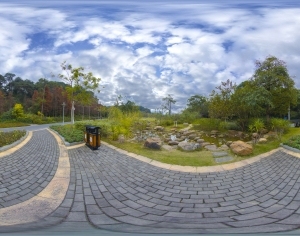 ModernThe Environment