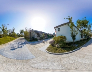 ModernThe Environment