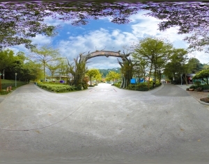 ModernThe Environment