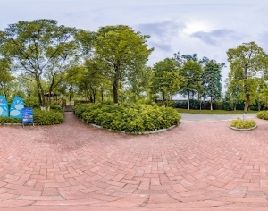 ModernThe Environment