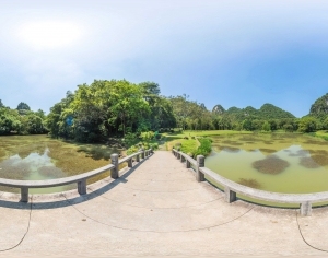 ModernThe Environment