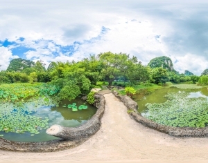 ModernThe Environment