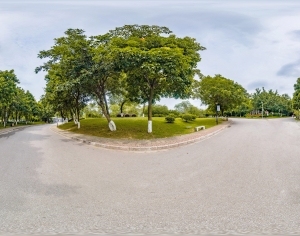 ModernThe Environment